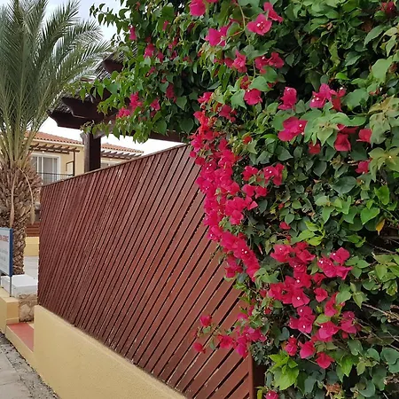 Charming 2 Bed. Ap. With Swimming Pool Paphos